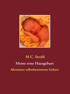 cover image of Meine erste Hausgeburt